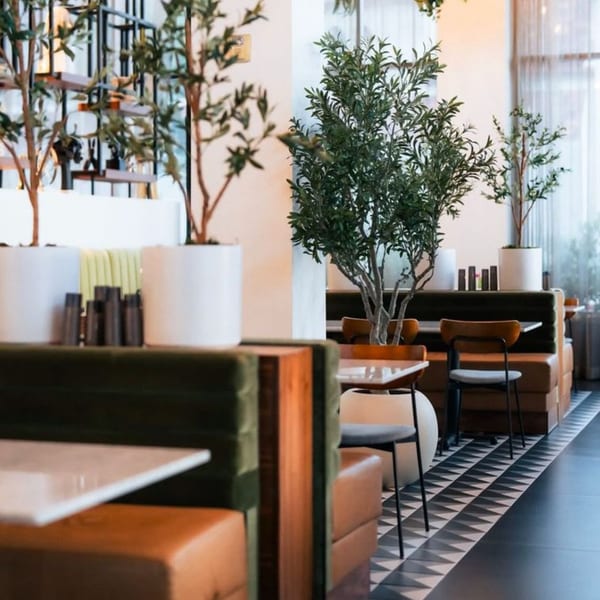 Olia Restaurant interior with olive trees, green and brown booths, and a black and white patterned floor.