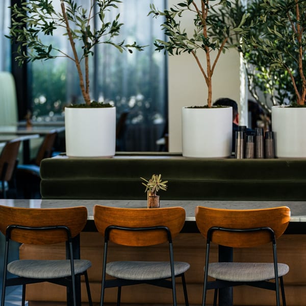 Three wooden bar stools with gray seats face a counter with potted olive trees at Olia Restaurant.